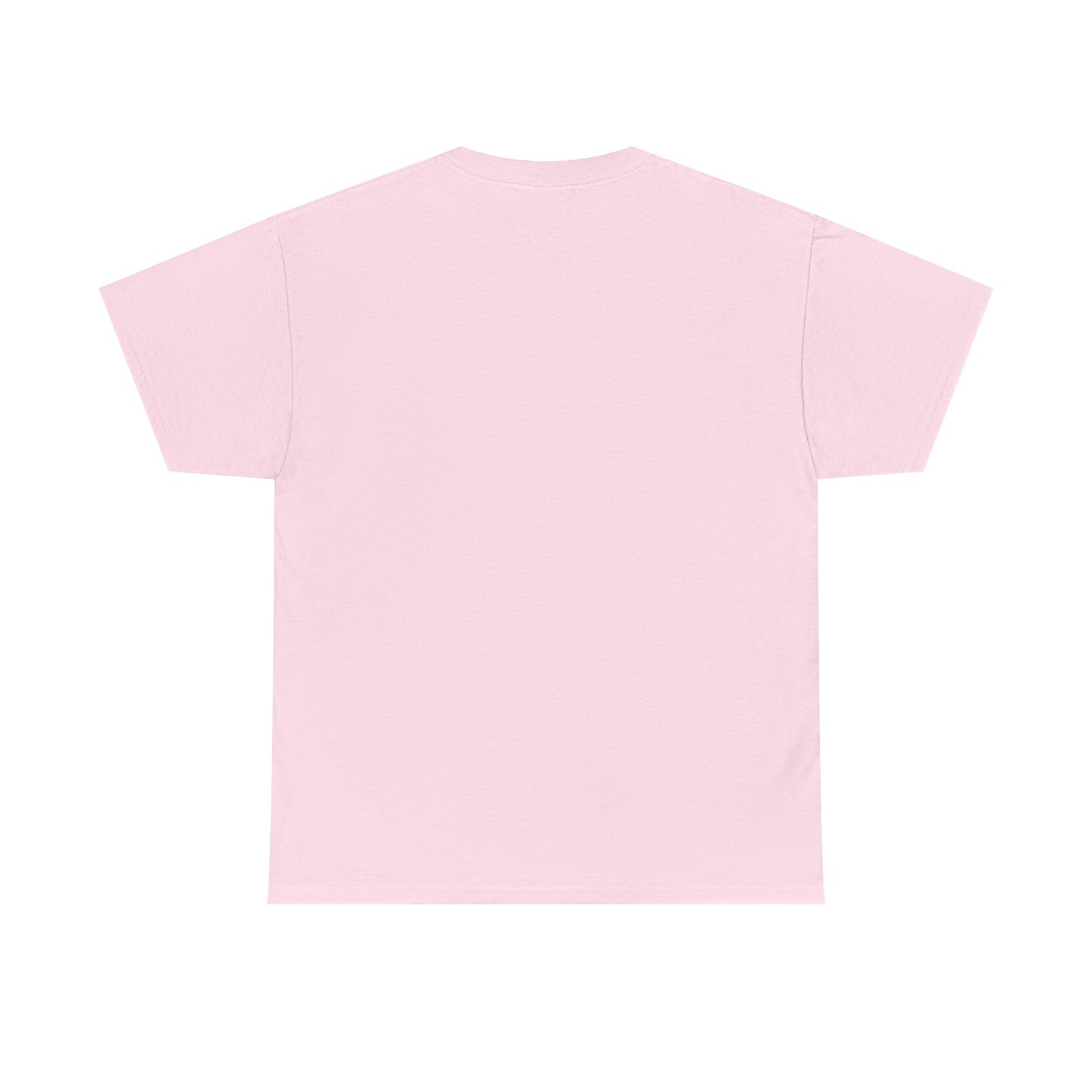 No More Stolen Sisters Tee: No More Stolen Sisters, Unisex Heavy Cotton T-Shirt, Awareness Apparel, Activism Gear, Gift for Advocates