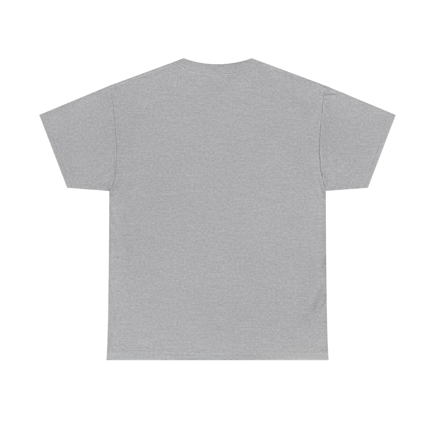 No More Stolen Sisters Tee: No More Stolen Sisters, Unisex Heavy Cotton T-Shirt, Awareness Apparel, Activism Gear, Gift for Advocates