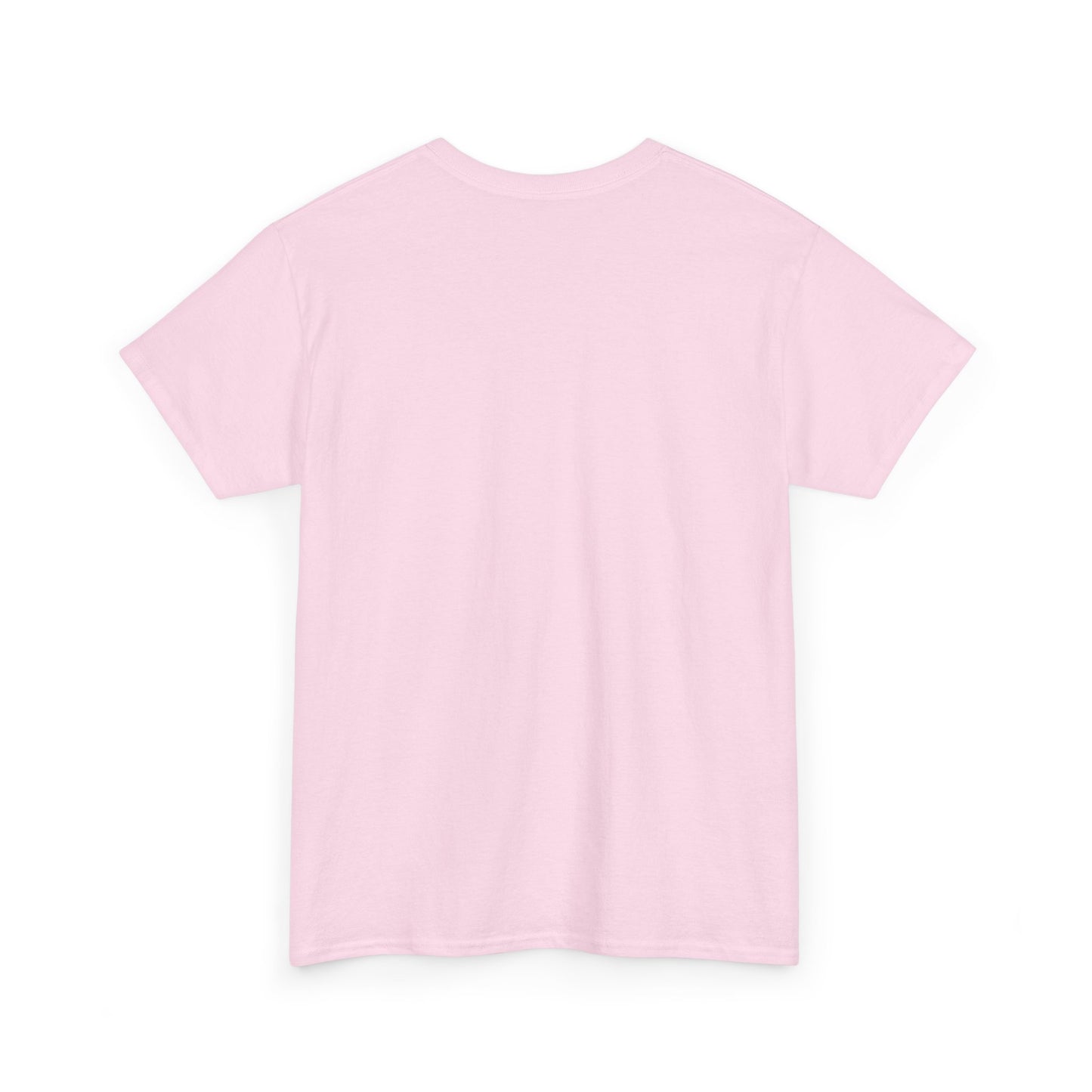 No More Stolen Sisters Tee: No More Stolen Sisters, Unisex Heavy Cotton T-Shirt, Awareness Apparel, Activism Gear, Gift for Advocates