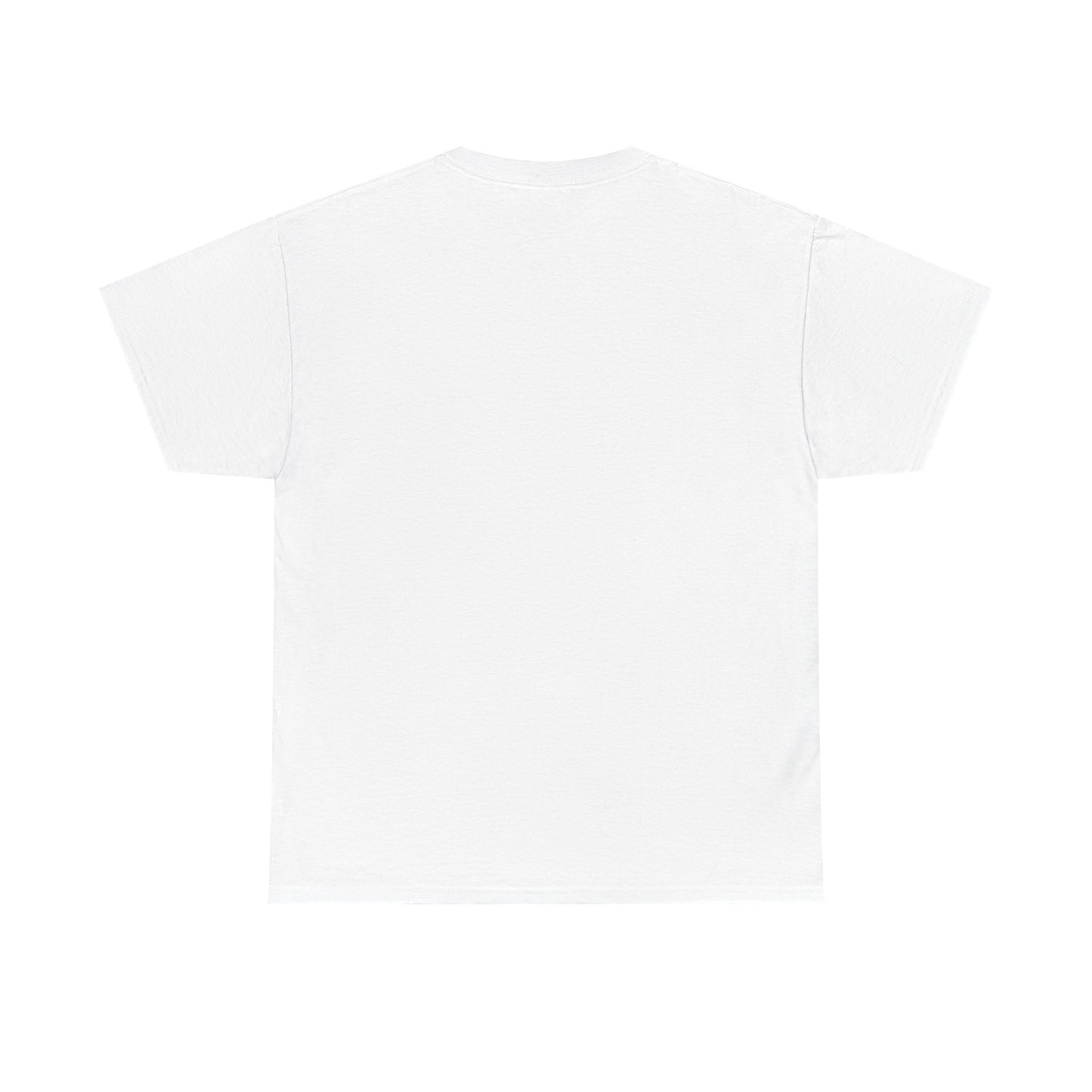 No More Stolen Sisters Tee: No More Stolen Sisters, Unisex Heavy Cotton T-Shirt, Awareness Apparel, Activism Gear, Gift for Advocates