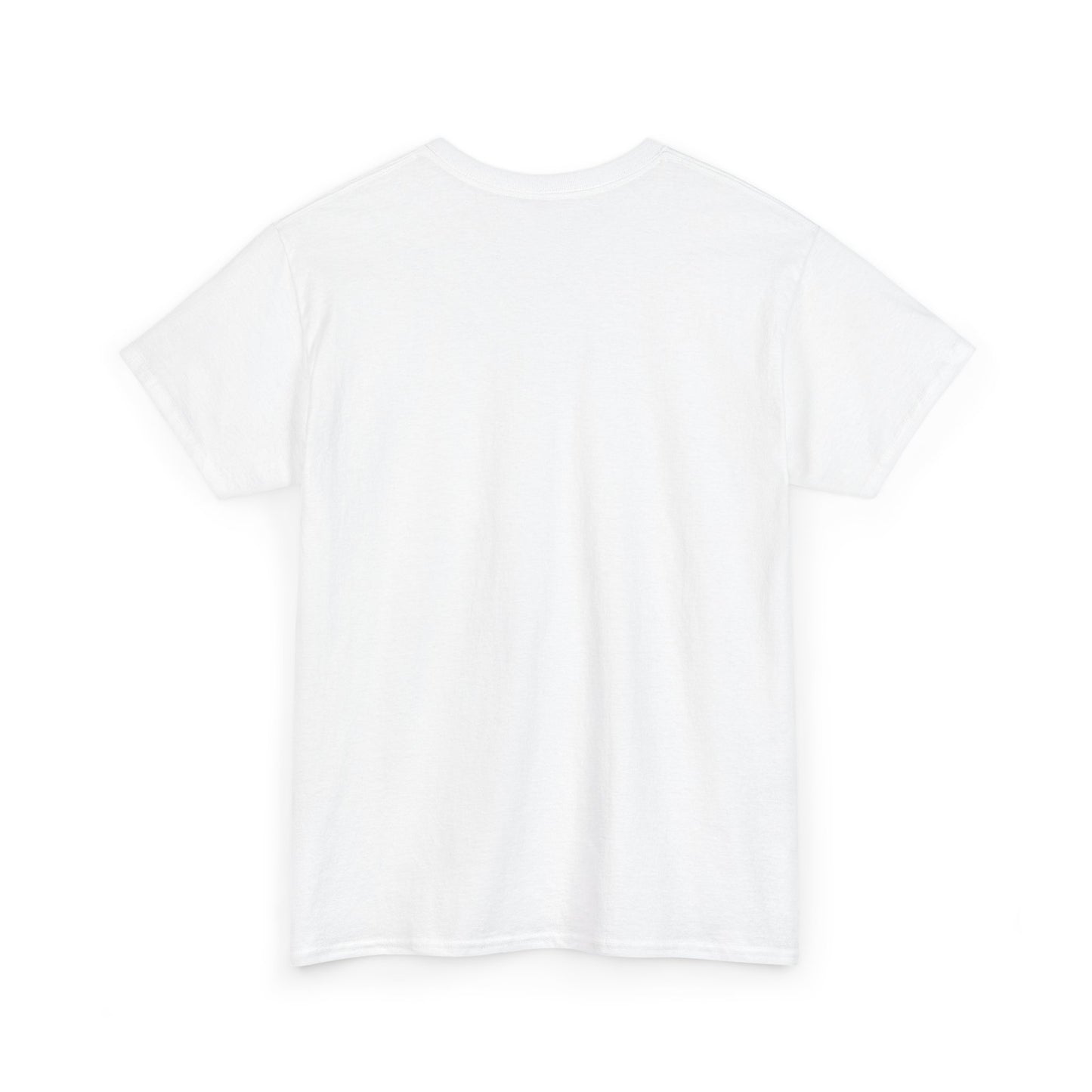 No More Stolen Sisters Tee: No More Stolen Sisters, Unisex Heavy Cotton T-Shirt, Awareness Apparel, Activism Gear, Gift for Advocates