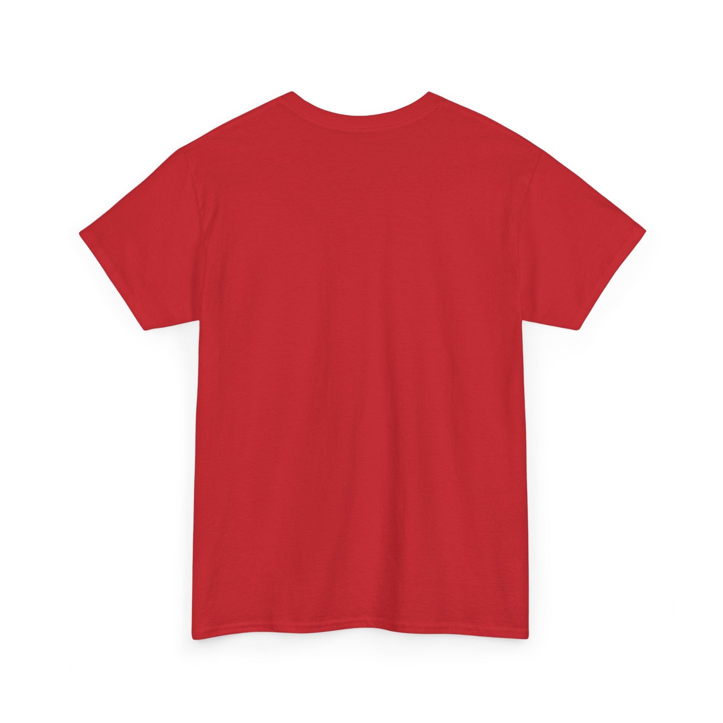 No More Stolen Sisters Tee: No More Stolen Sisters, Unisex Heavy Cotton T-Shirt, Awareness Apparel, Activism Gear, Gift for Advocates