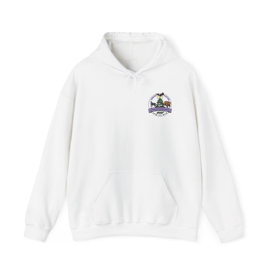 Oneida Hooded Sweatshirt, Perfect for Fall Gatherings, Gift for Friends, Family, Casual Wear, Unique Design