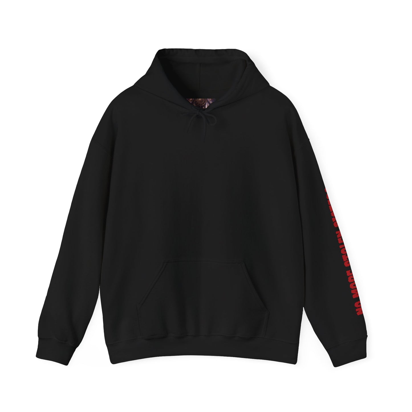 No More Stolen Sisters Hooded Sweatshirt - Cozy, Artistic Layer for Everyday Wear, Gift for Art Lovers, Unisex, Streetwear
